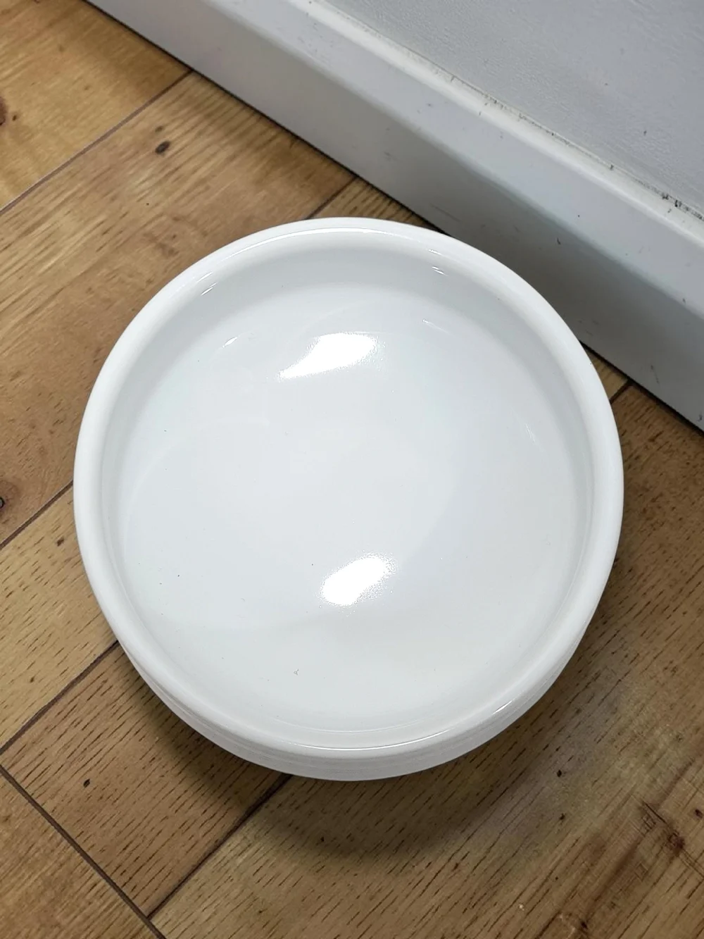 Naughty and Nice Cat Bowl with Black and White Cats Double-sided Accents